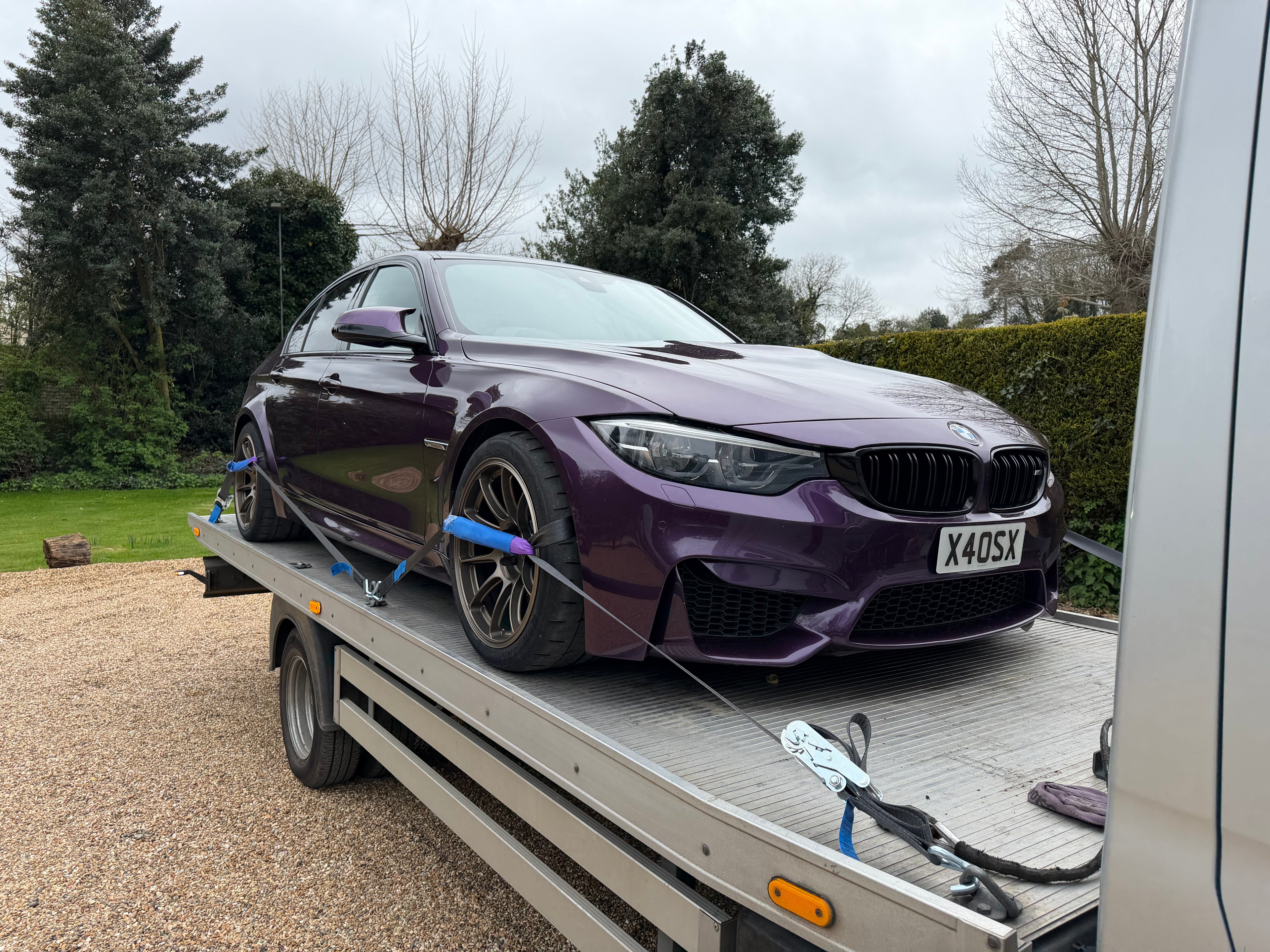 Car Transporter Straps