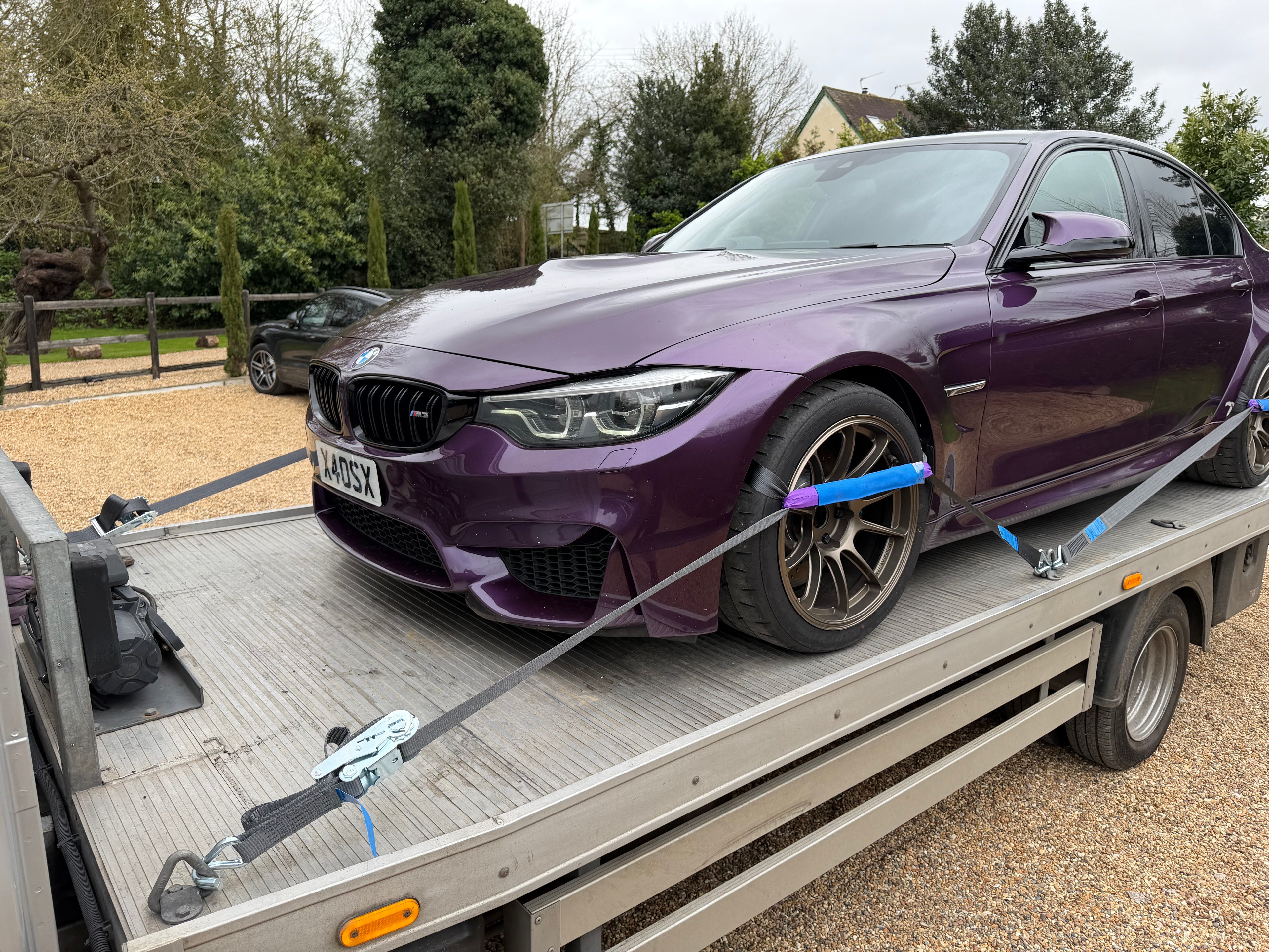 Car Transporter Straps