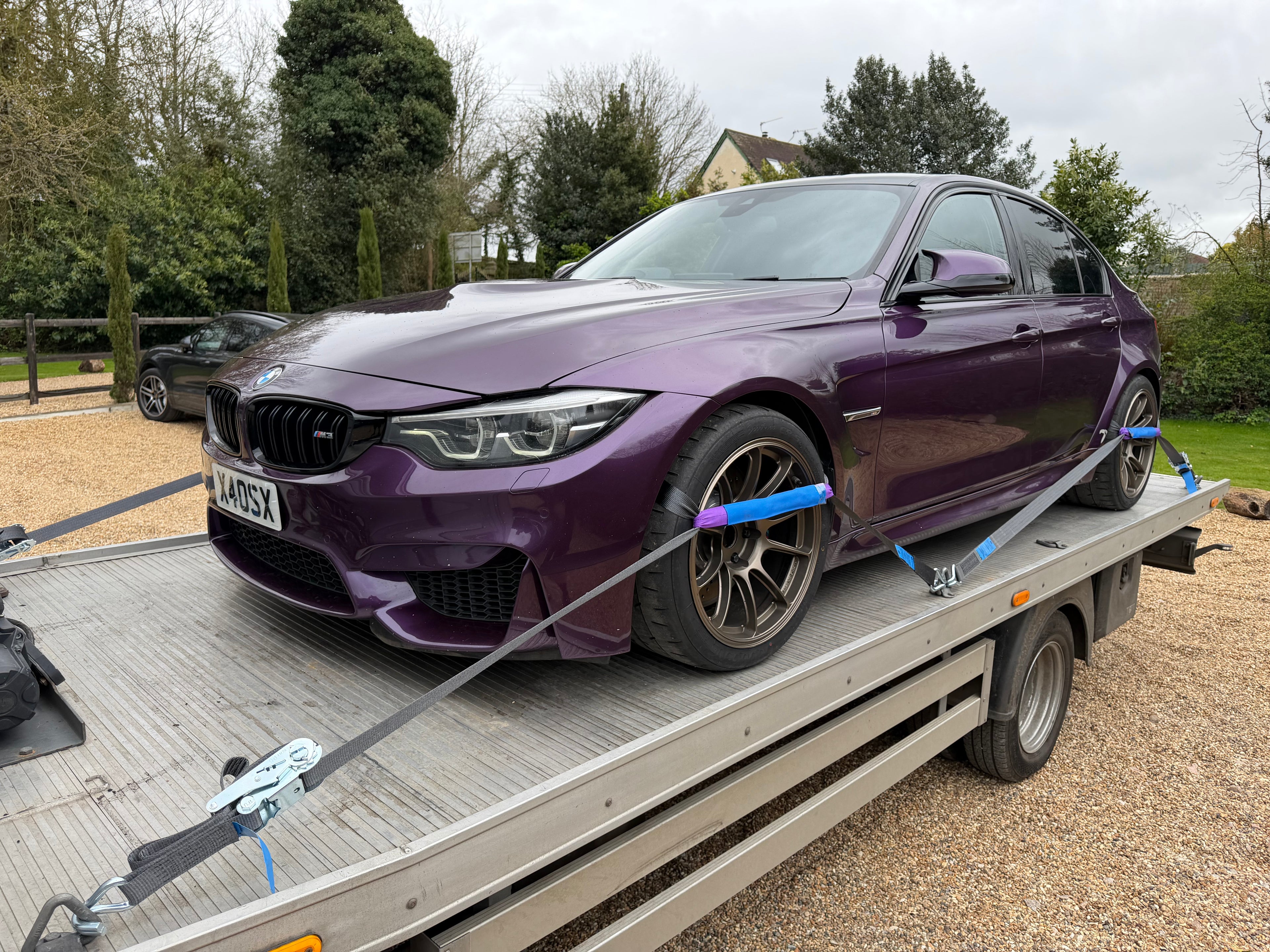 Car Transporter Straps